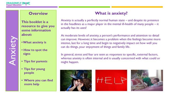 thumbnail of Anxiety Booklet